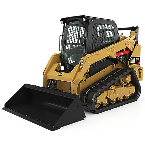 cat-259d